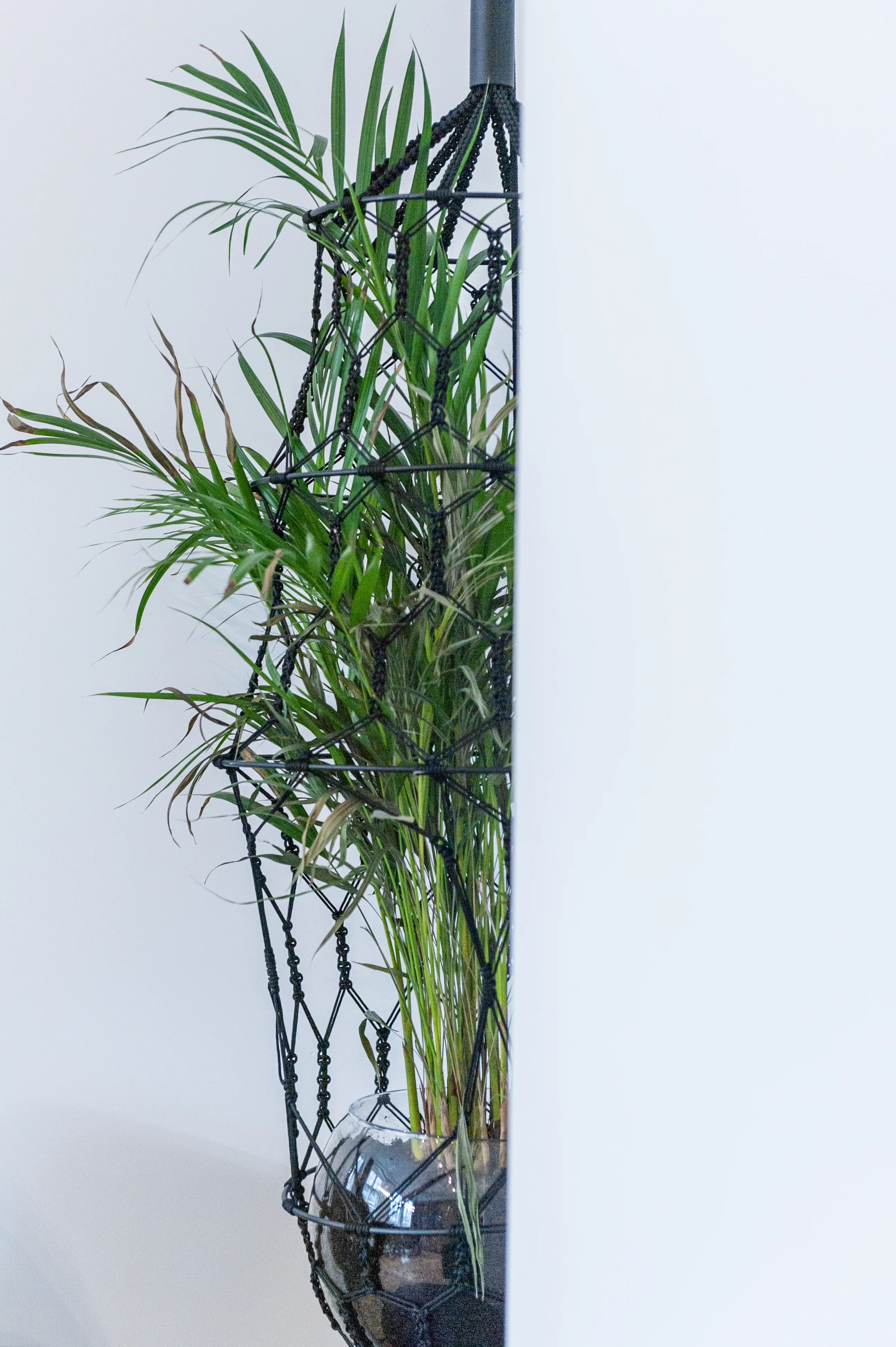Detail of a black macramé hanging planter at AI START-UP BERLIN holding a glass sphere with an areca palm against a white wall.