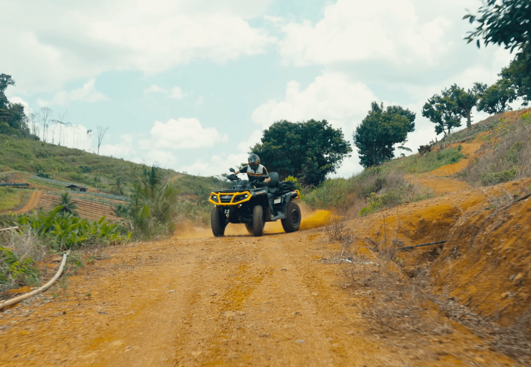 a woman holding an apple