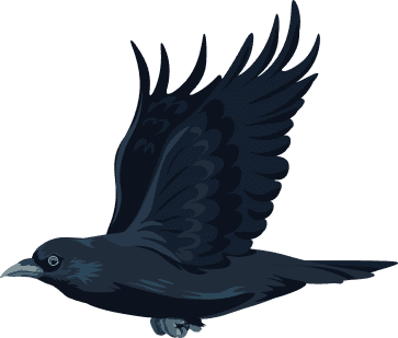 Crow