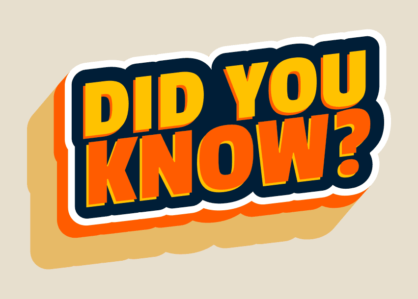 Web-AR Phygital Experience