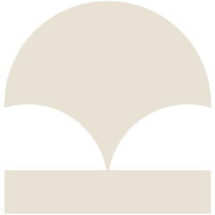 Advantage Icon