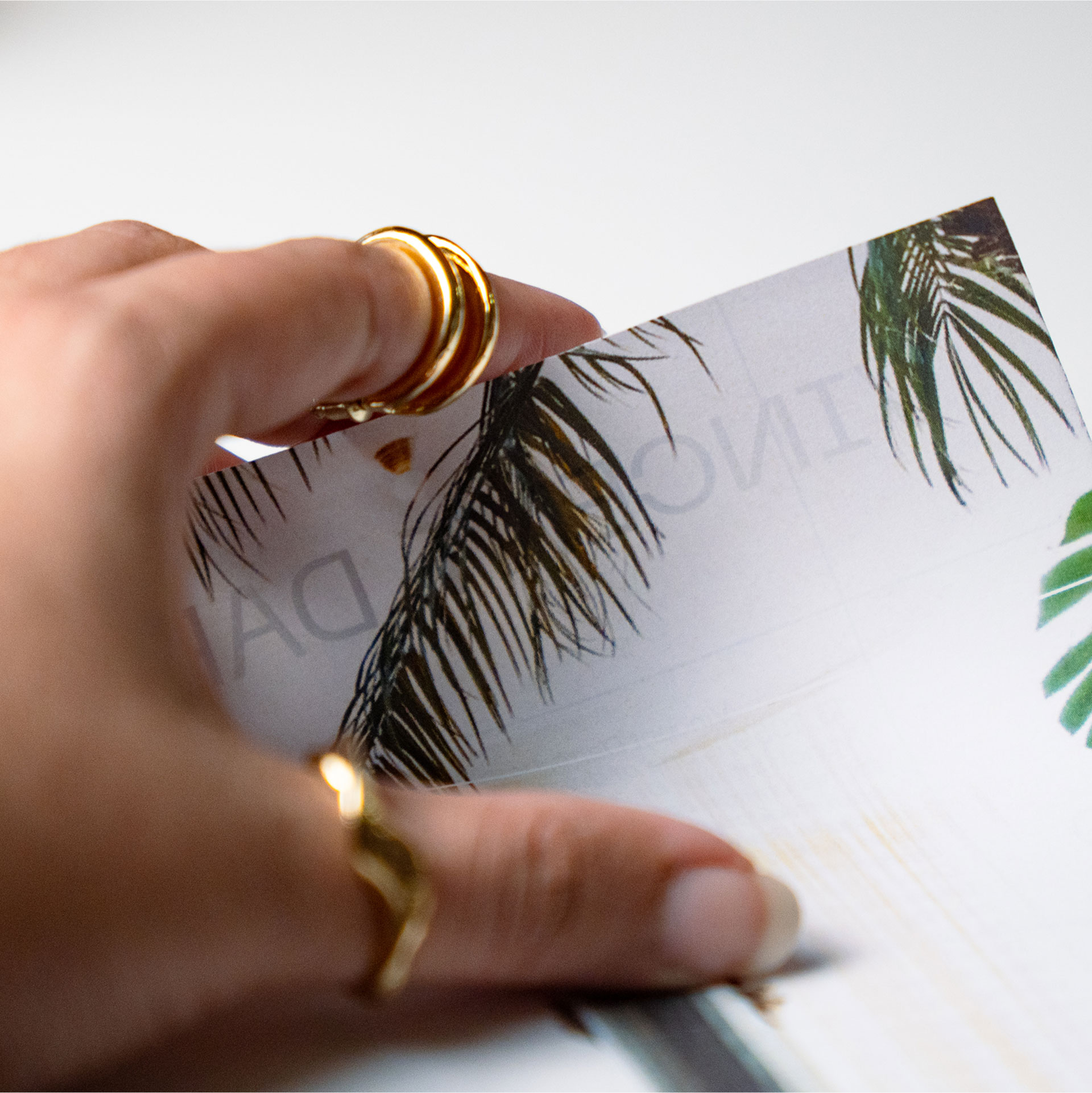 A hand adorned with gold rings delicately holds a card featuring tropical palm leaf designs on a light background.