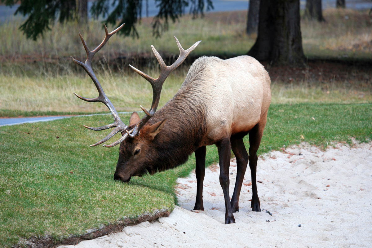 Group of men standing with Sufboard