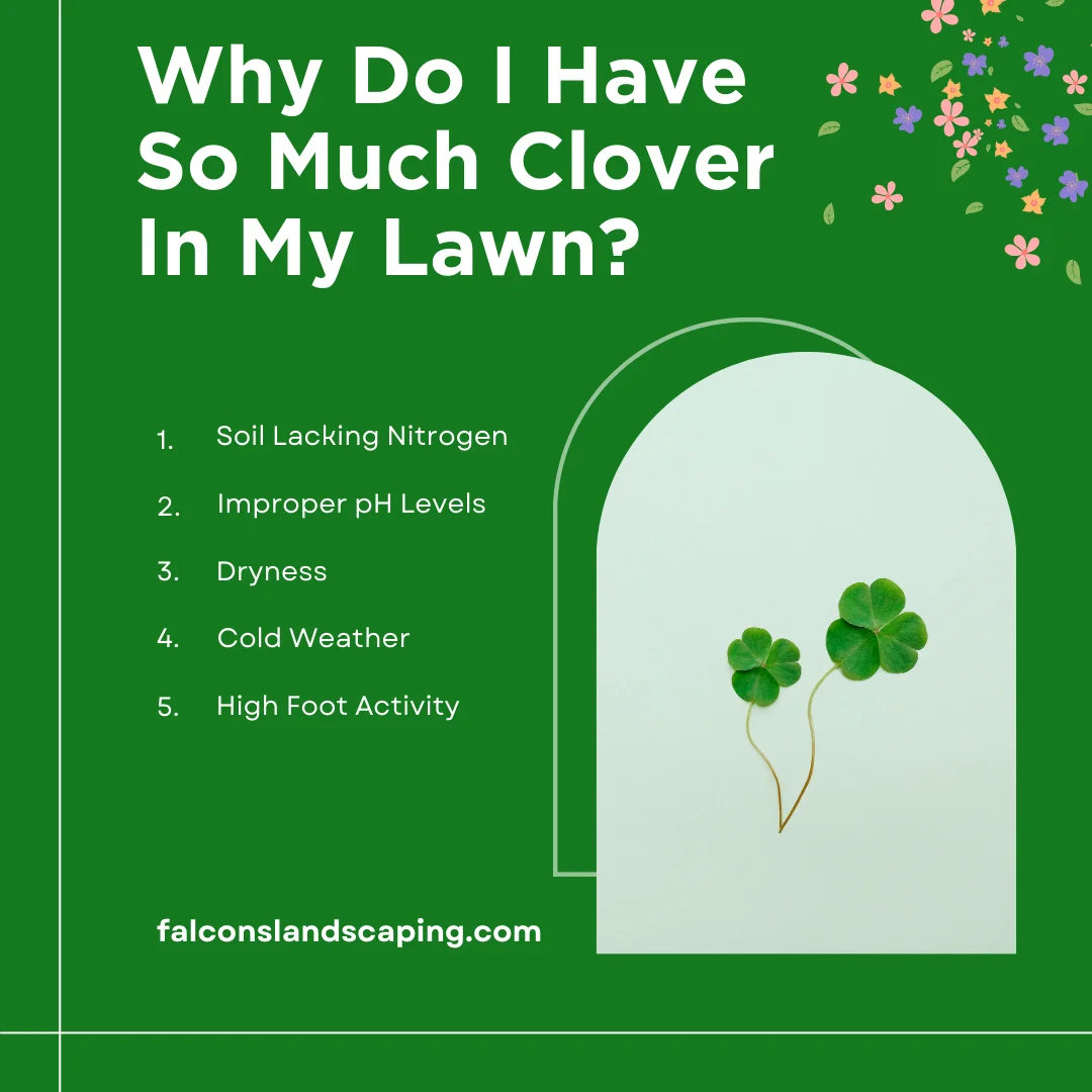 A post answering reasons for having clover on your lawn