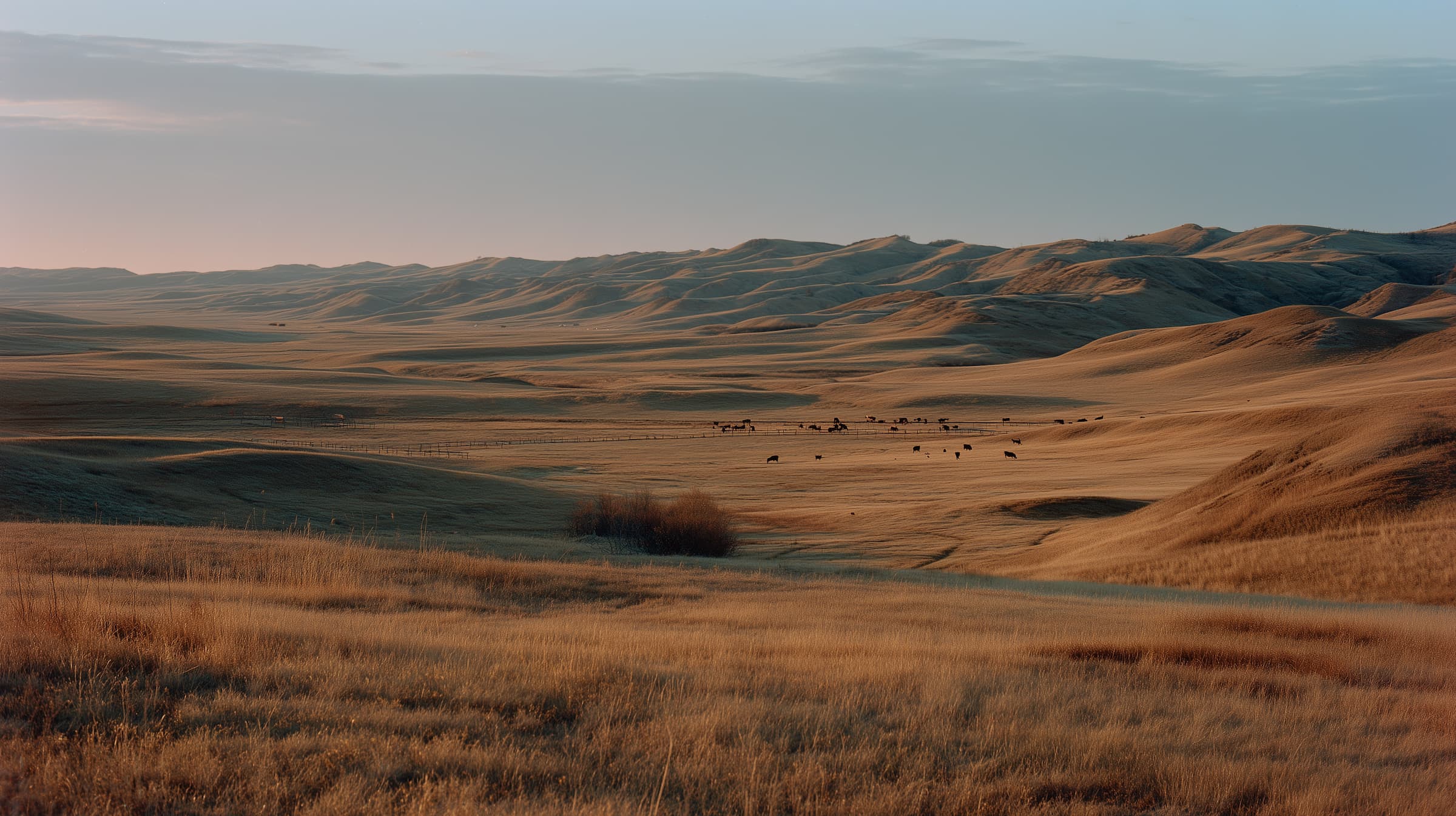 Dynamic picture of a cyclist riding downhill