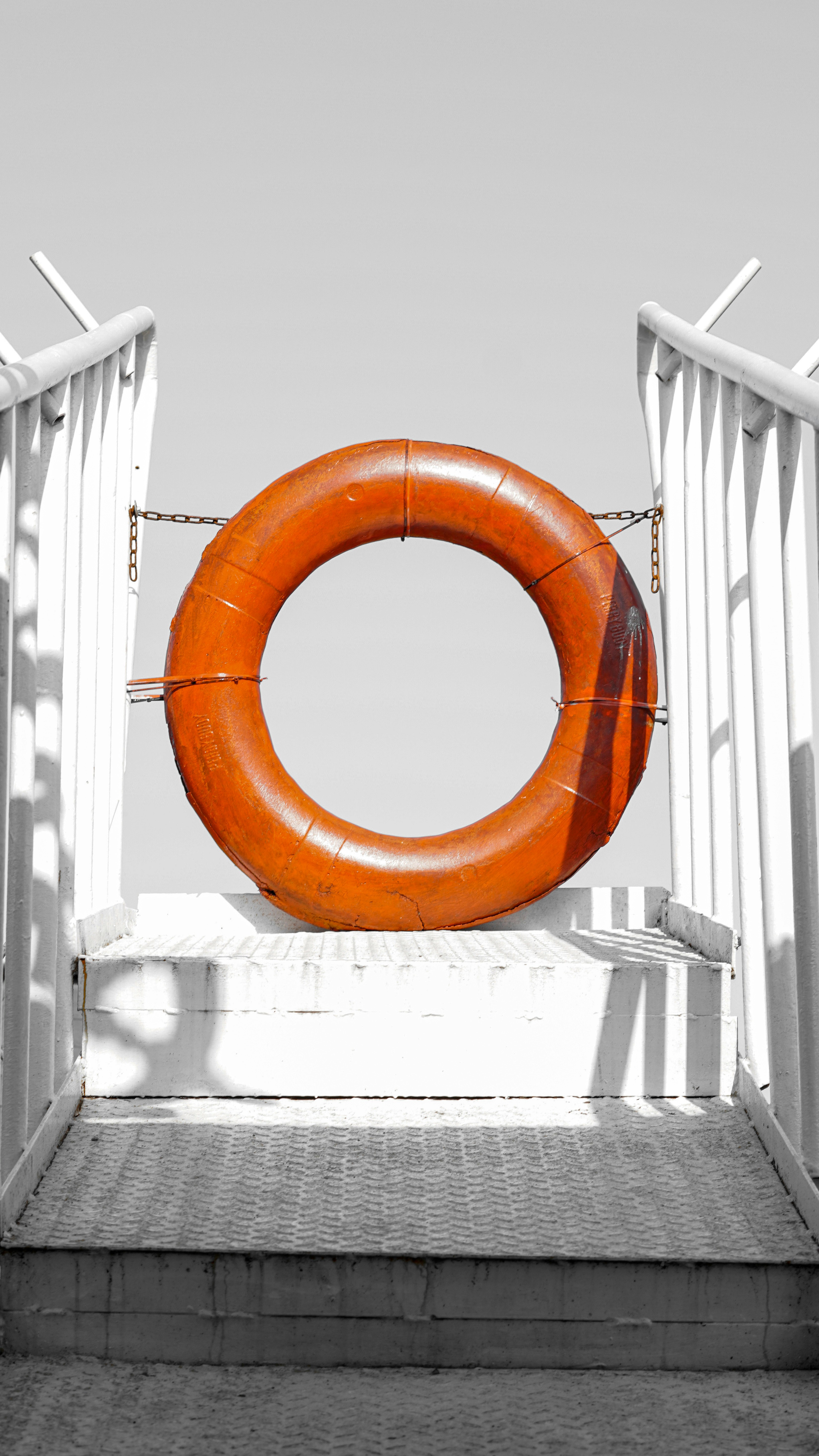 Close-up of lush, dark green leaves, some glossy and wet, against a muted background.