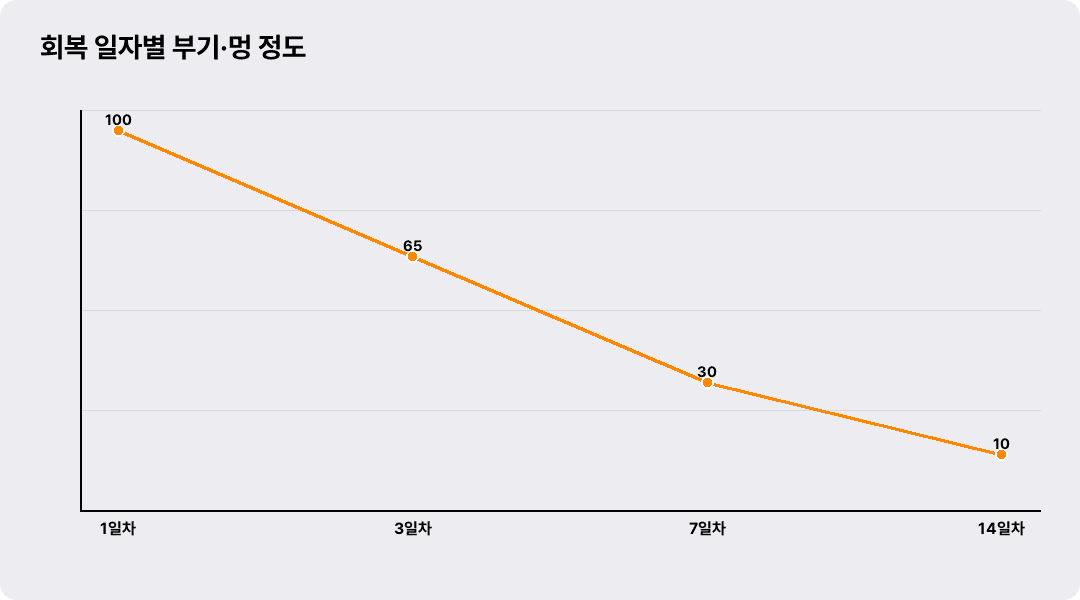 회복 일자별 부기·멍 정도