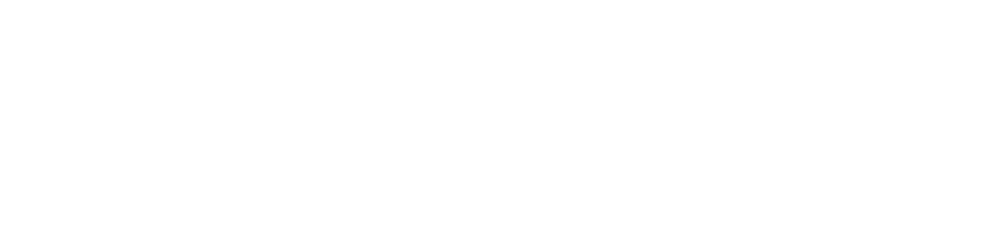 Wölfel Logo Schriftzug