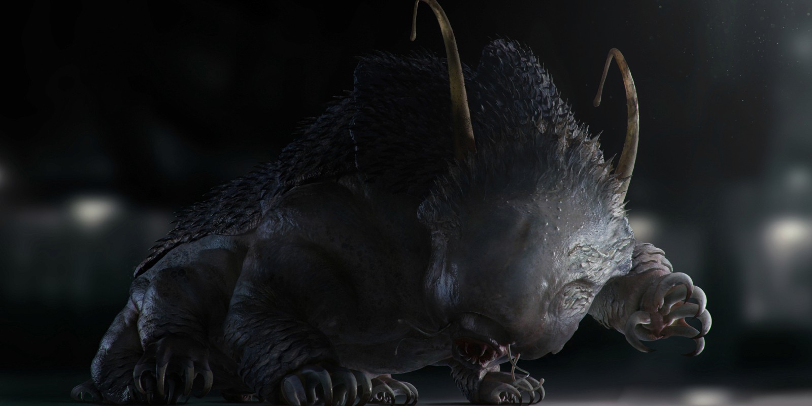 Image banner