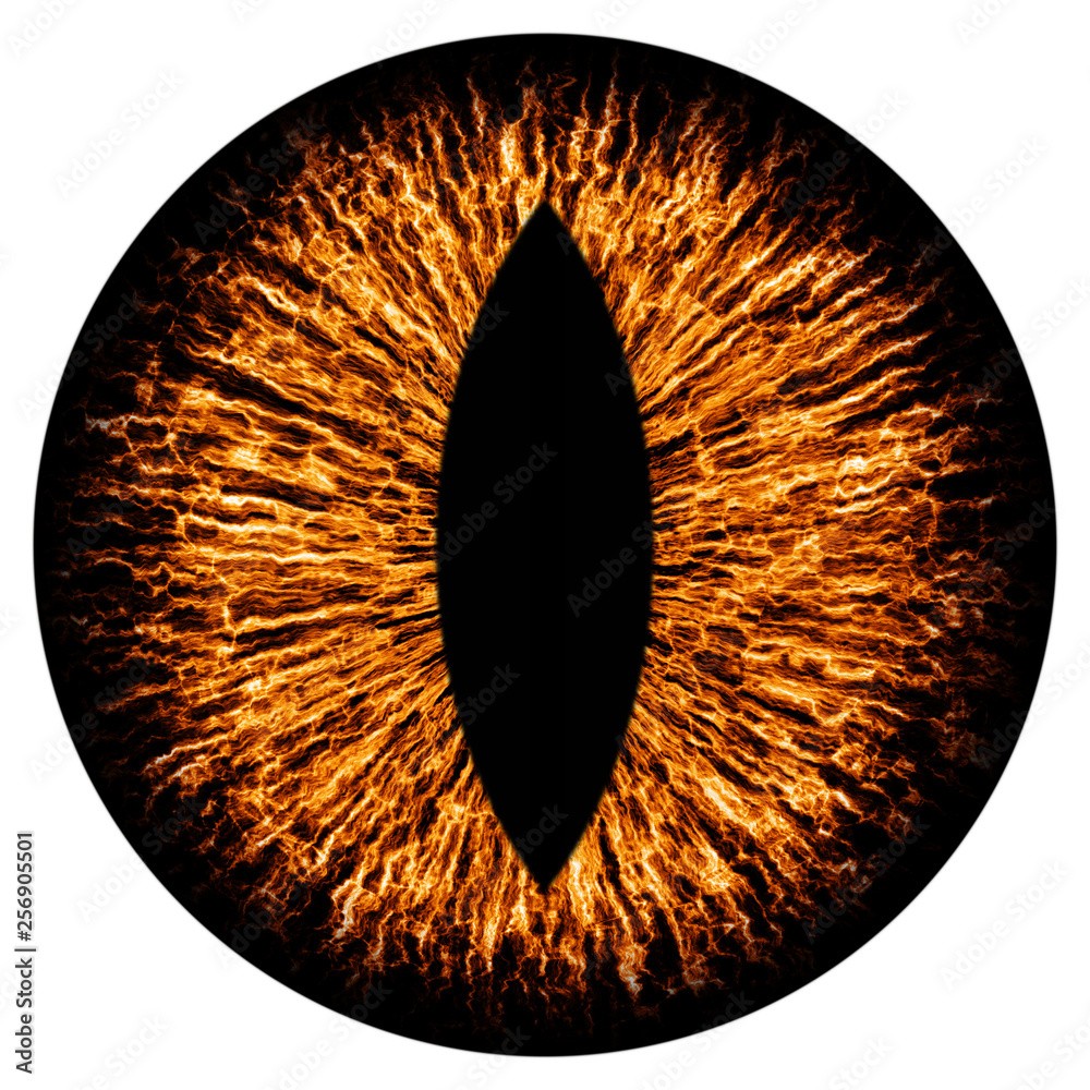 A brown eye that looks cat like or possibly reptillian, a bit evil looking 