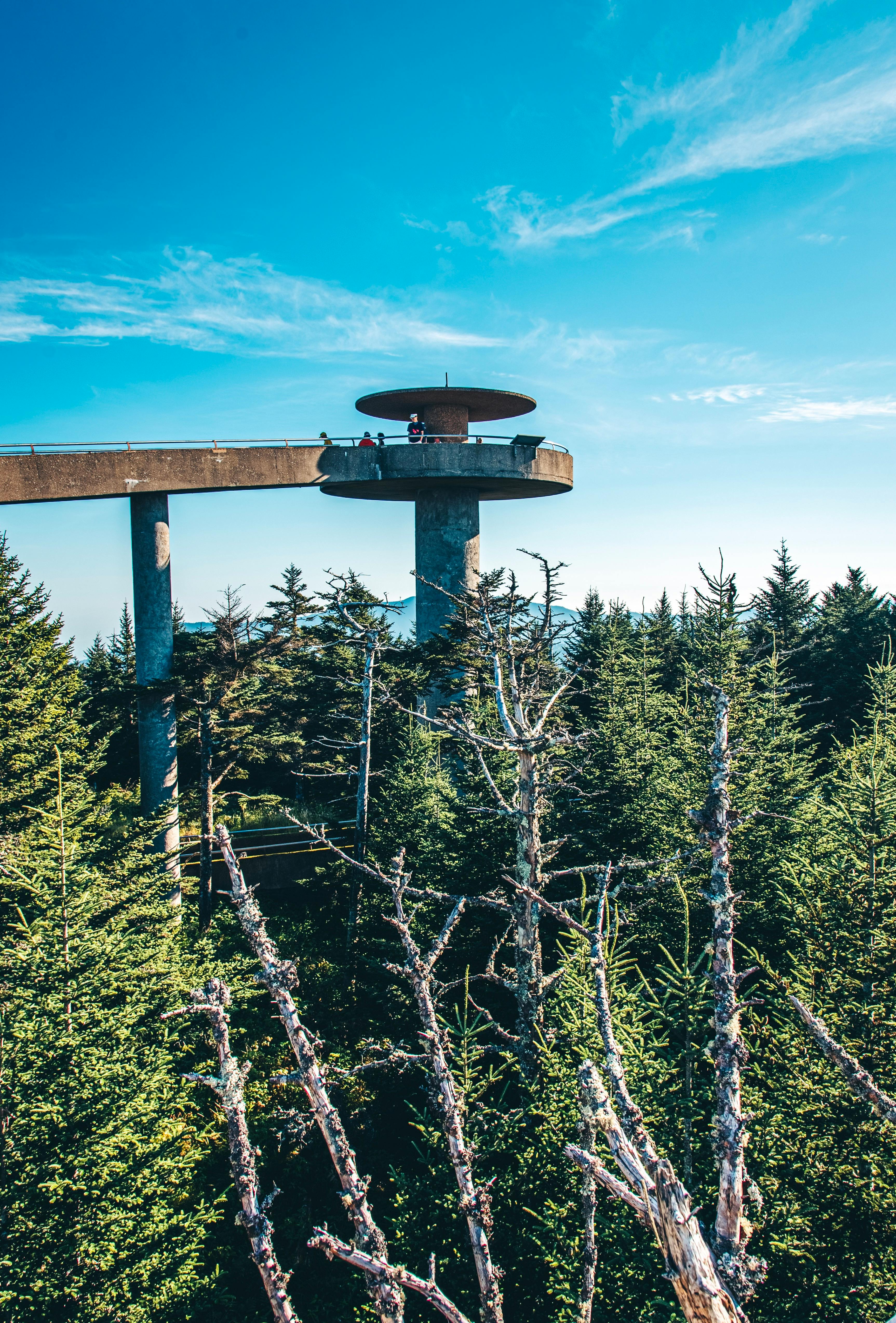 The BEST Hidden Gem Activities Near Pigeon Forge
