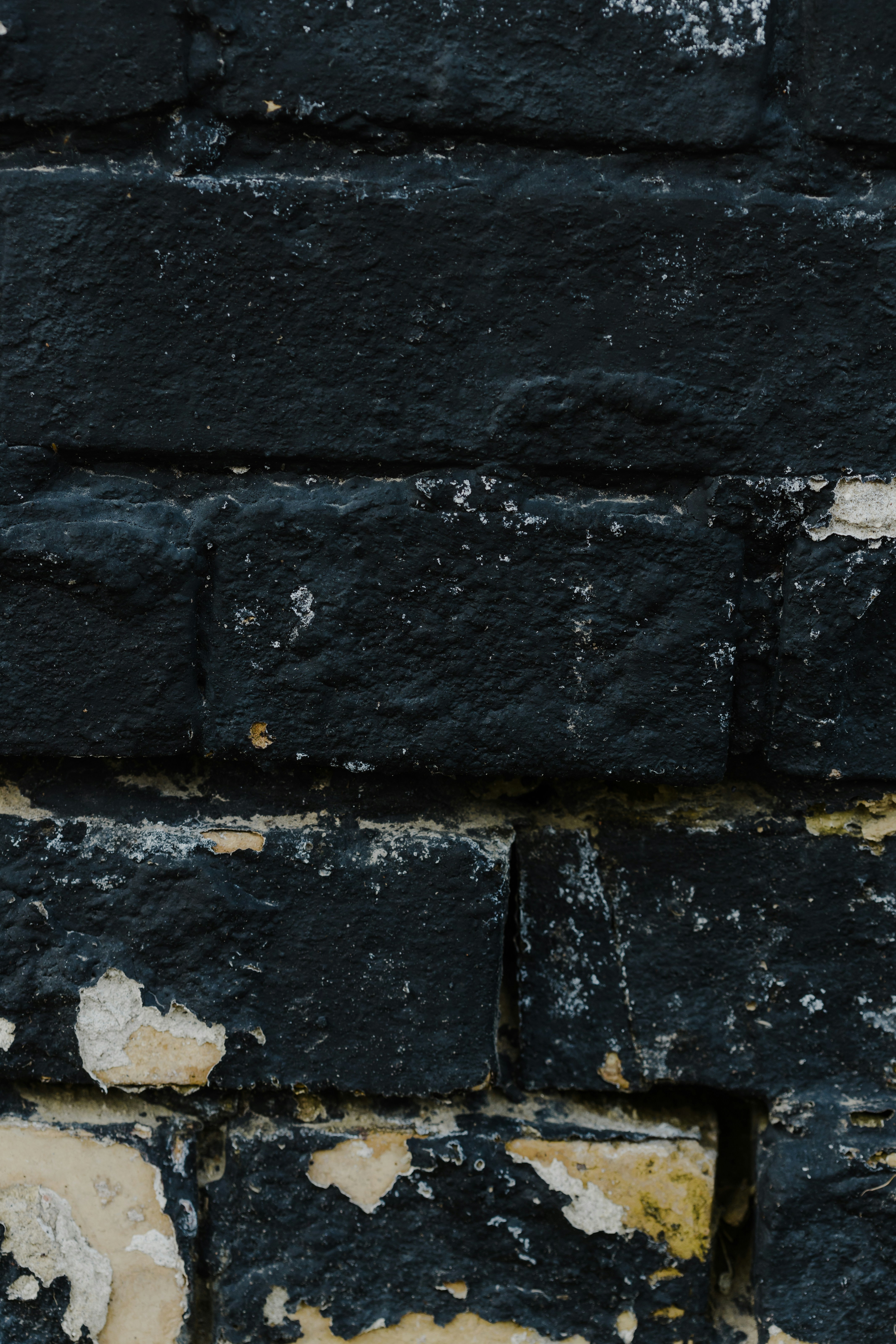 Don't Ignore These Signs of Black Mold in Your House!