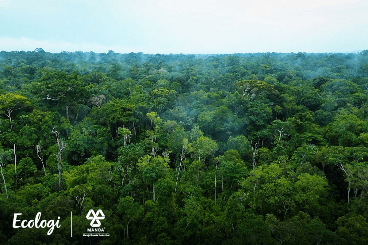 Showcase of the Ecologi Impact profile