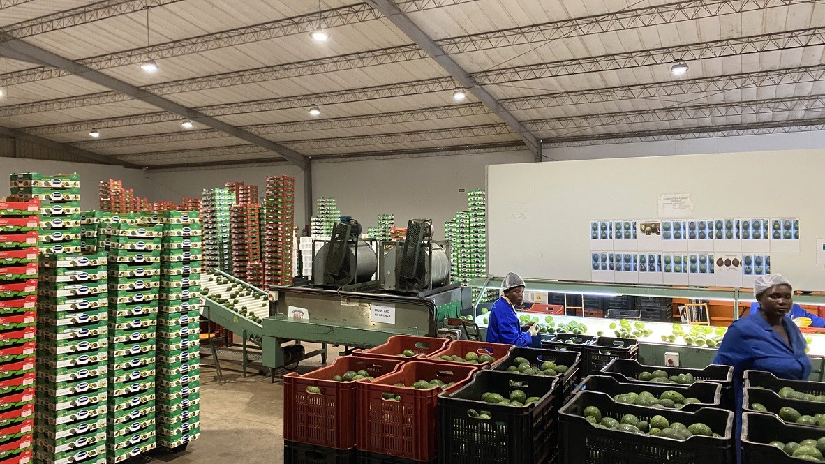 Cold store finance in Africa