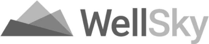 WellSky logo