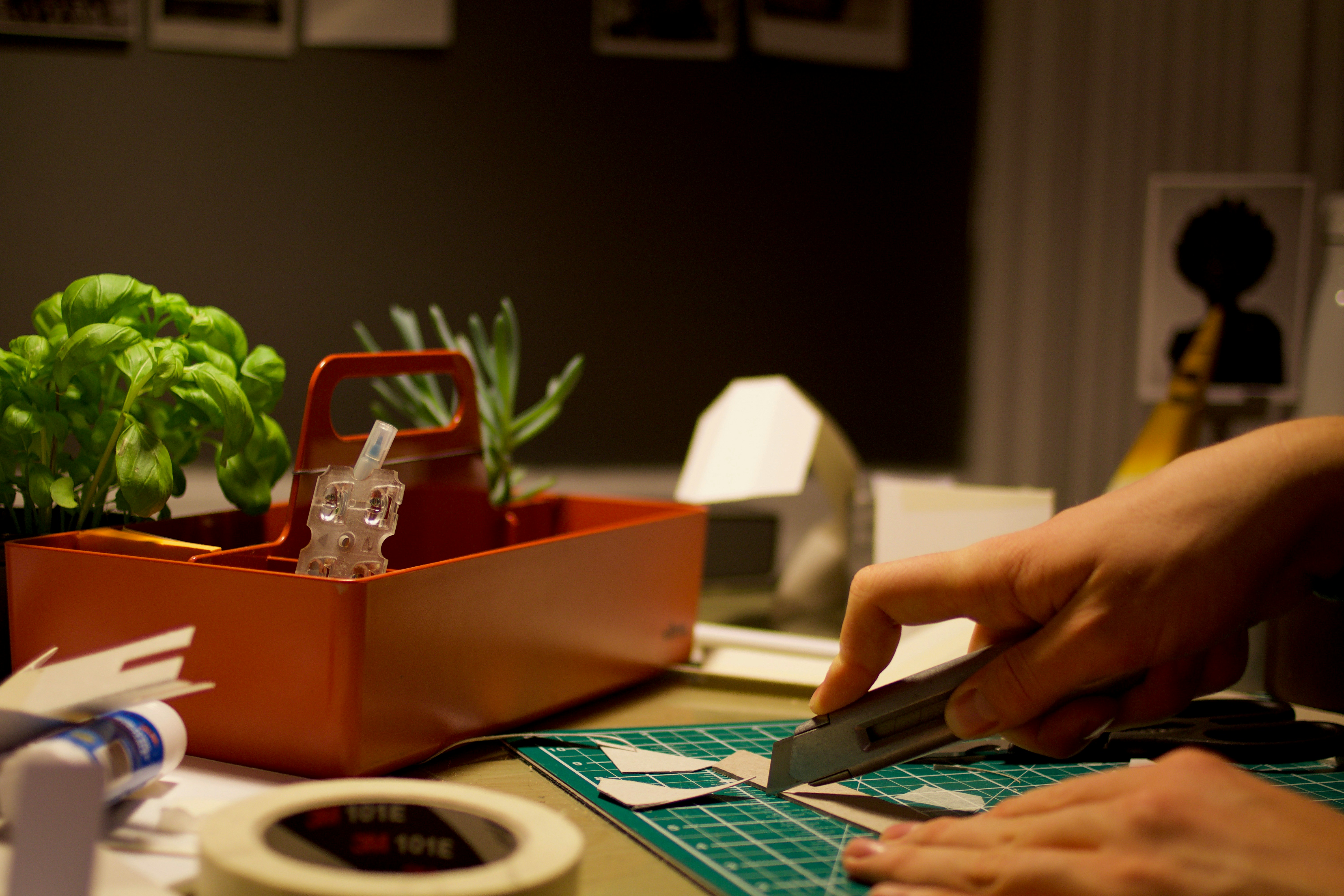 Close-up of a dark green leaf showing its textured surface and central vein against a muted background.