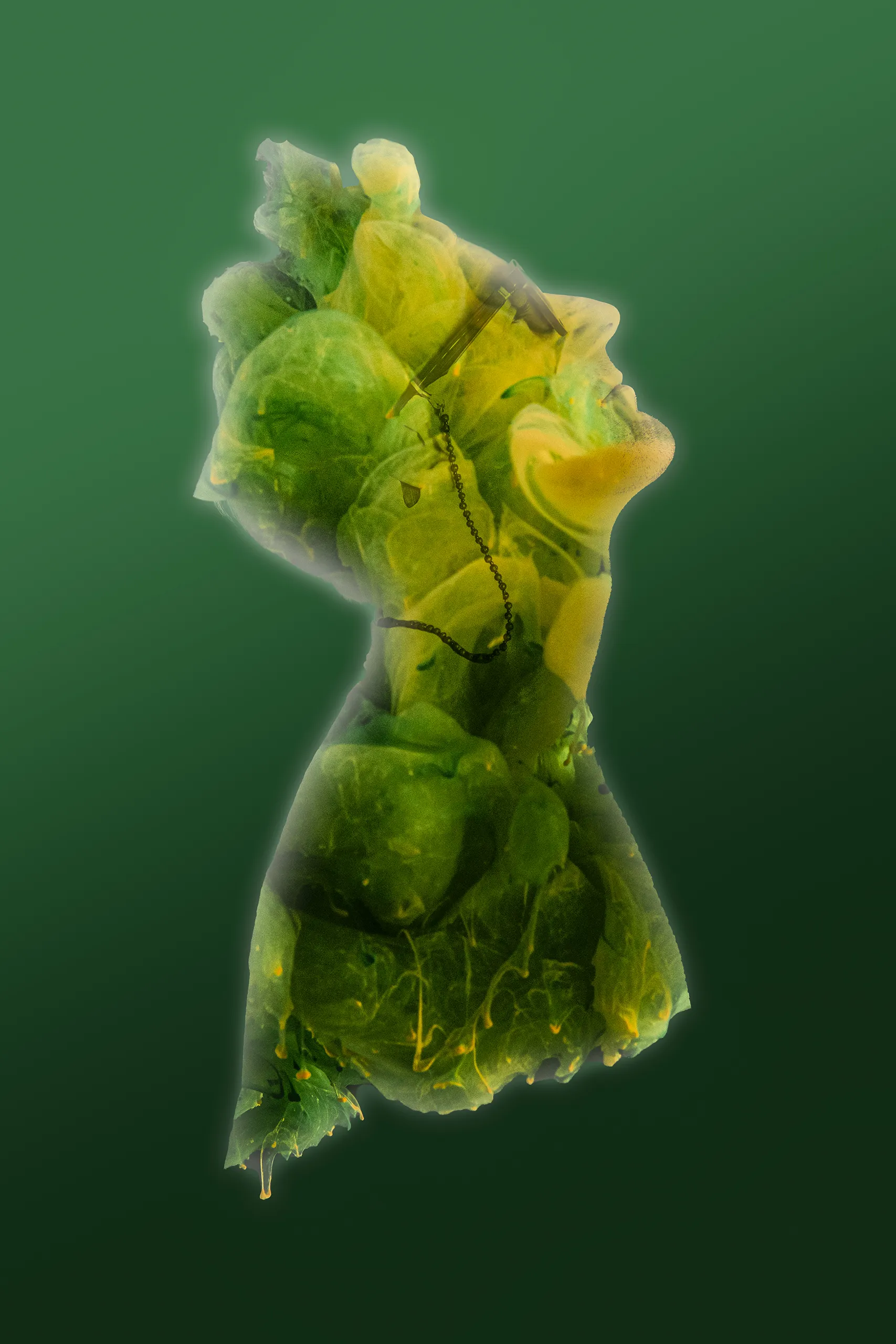 An abstract fine art macro photograph of billowing green ink or pigment clouds suspended against a dark green gradient background.