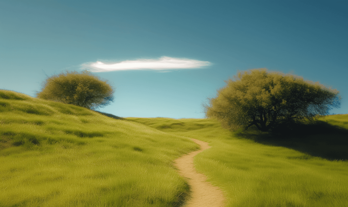 A model with a white makeup look