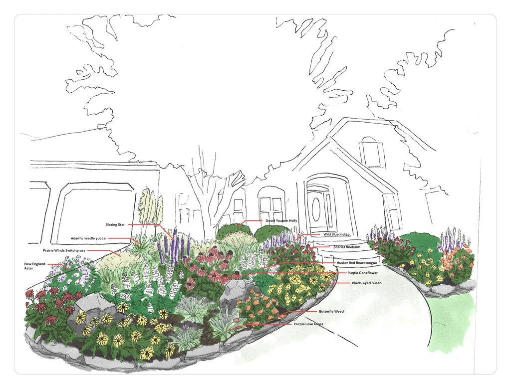 2D sketch of the front yard with native flowers