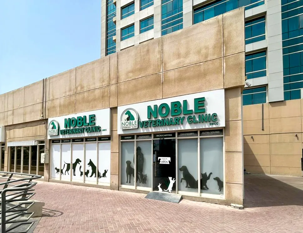 عيادة نوبل البيطرية بأبراج بحيرات جميرا