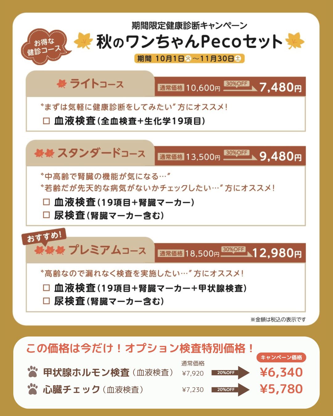 秋の健康診断キャンペーン(ライトコース7,480円、スタンダード9,480円、プレミアム12,980円、オプション検査あり)