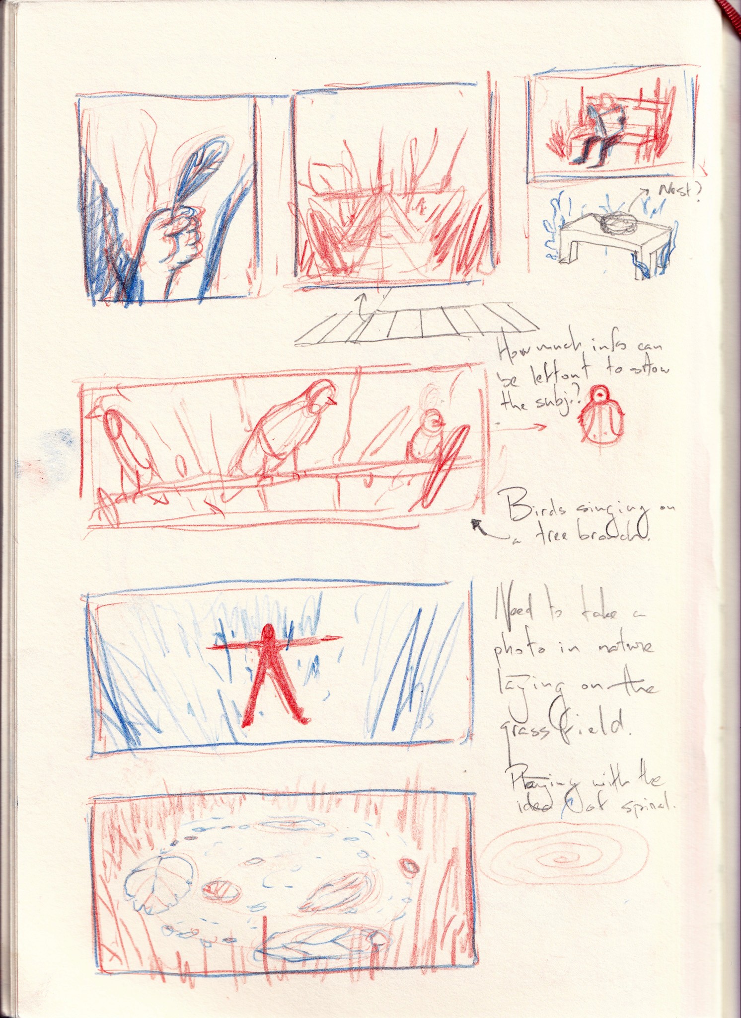 Image 40
