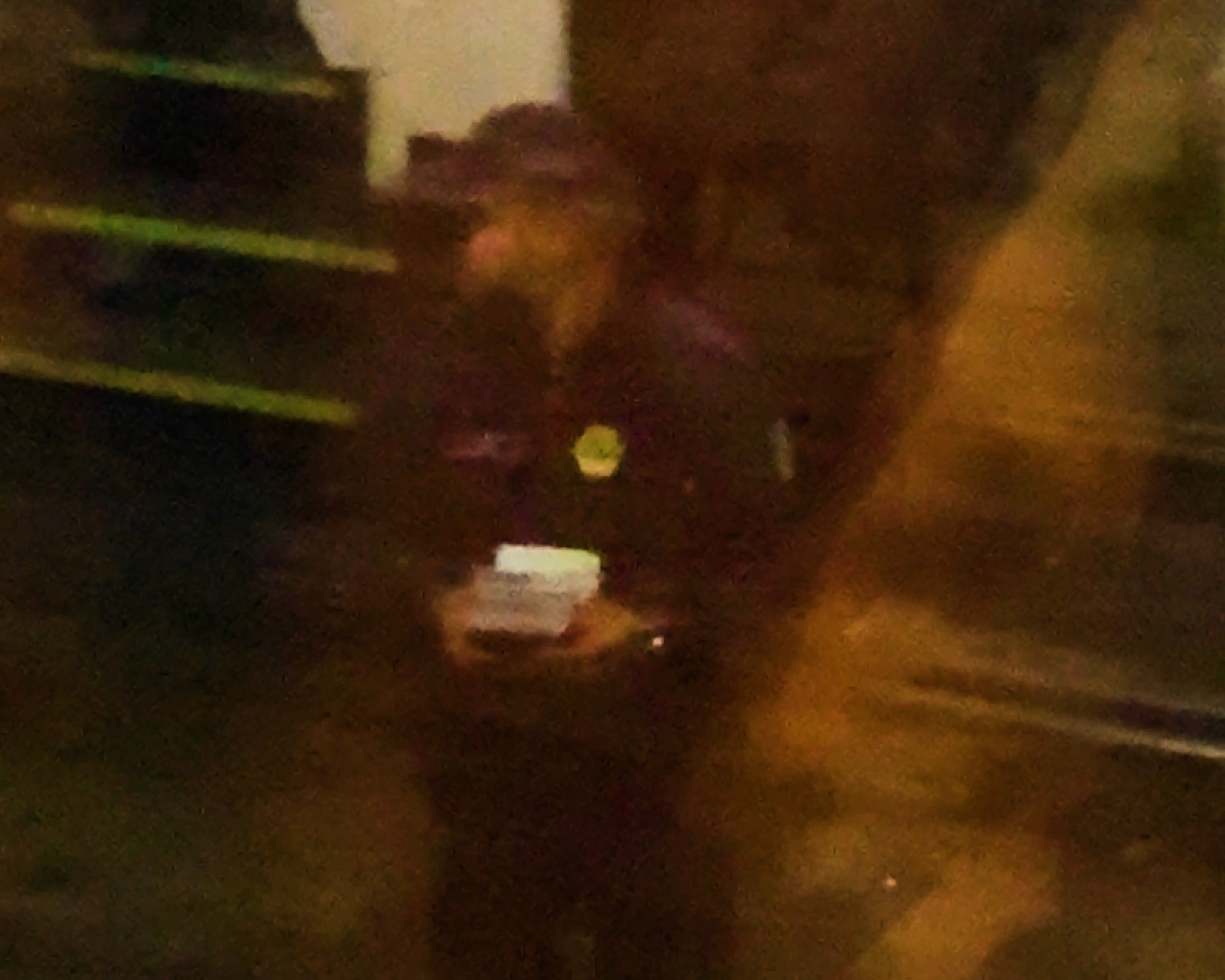 Passport and border documents during the crossing