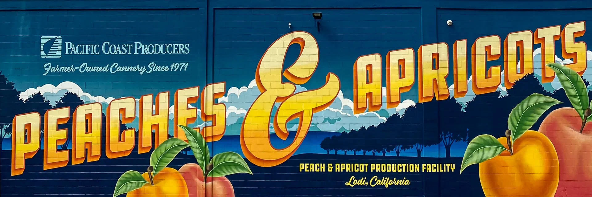 Peach Mural