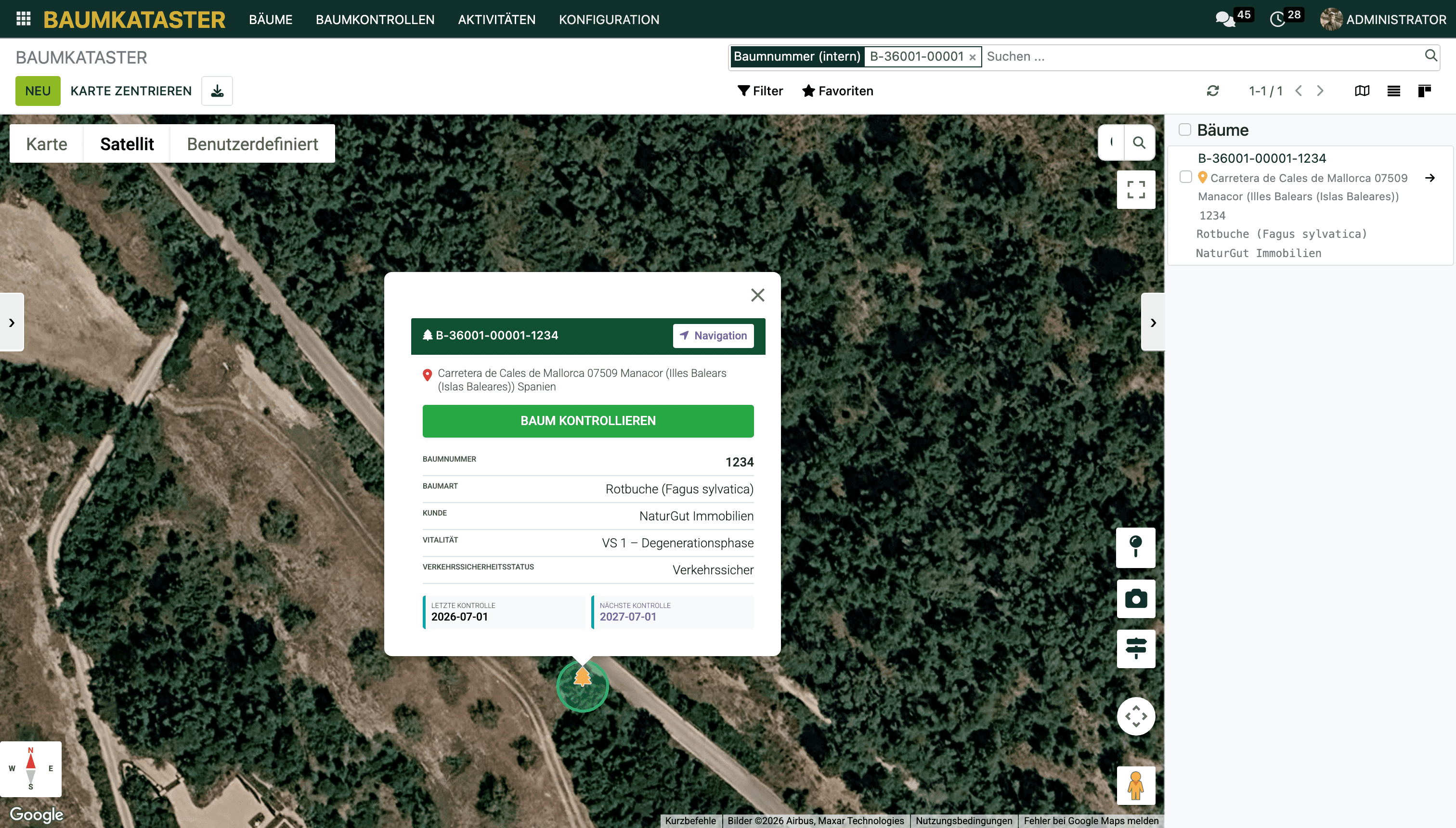 Pin angeklickt: Kurzinfo mit Navigation und Baum kontrollieren. Gut zu sehen ist auch der grüne Kreis der Kronenfarbe um den orangen Pin.