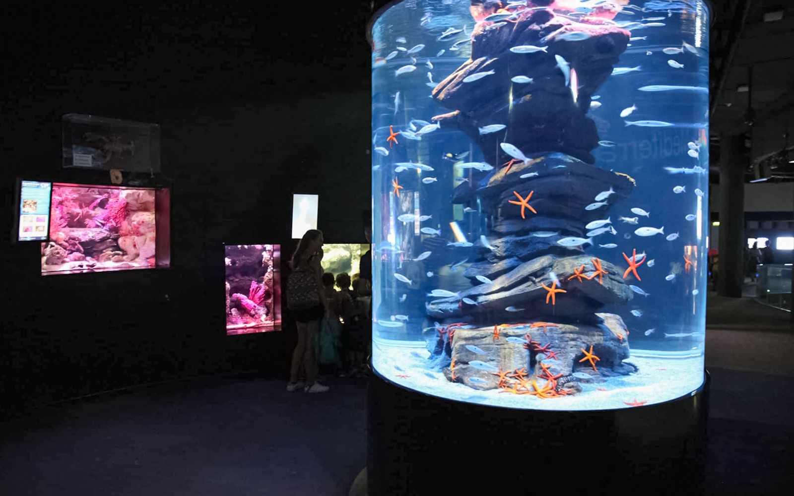 参观者在巴黎水族馆观看大型圆柱形水箱里的海洋生物。