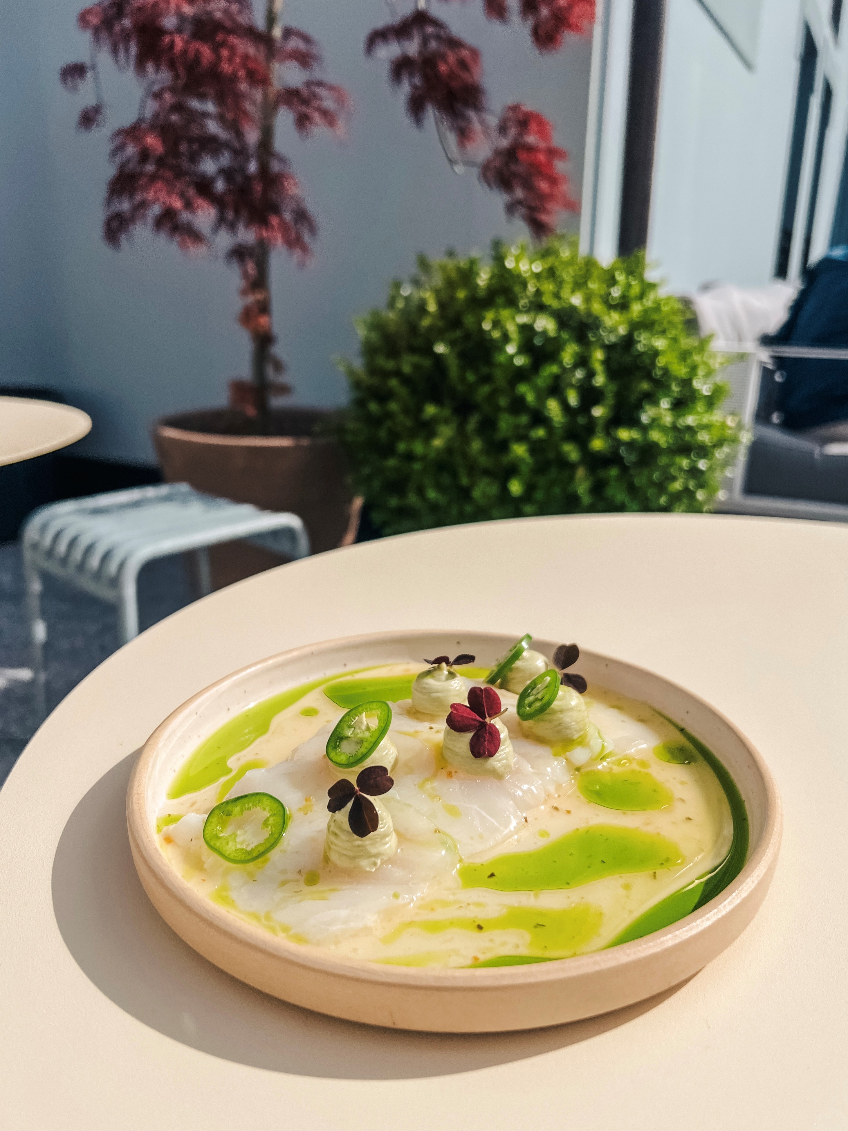 a cappuccino on a saucer on a black table