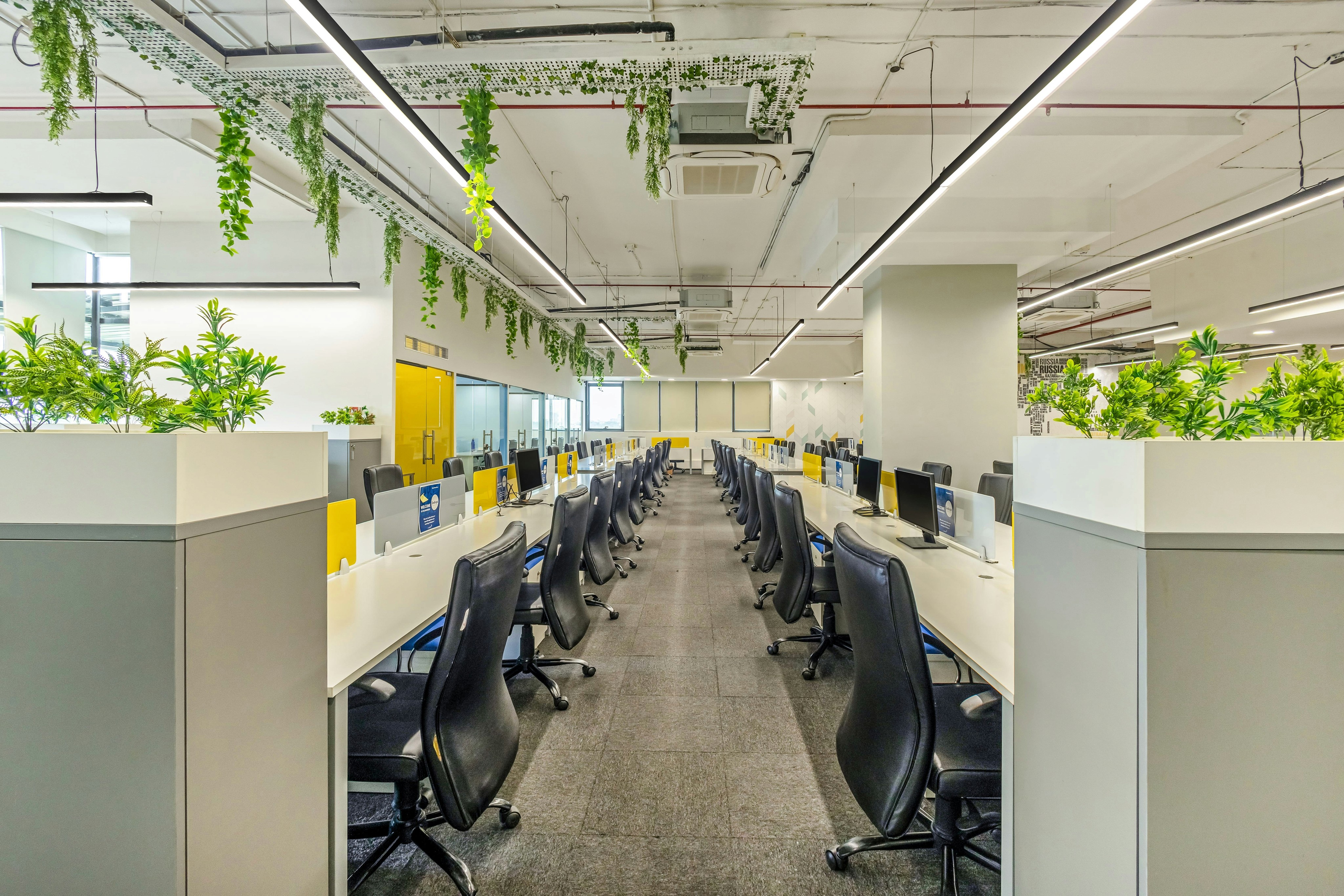 A vibrant open-plan office workspace in Bengaluru designed by Zepspace, incorporating biophilic design with hanging greenery over modern linear workstations