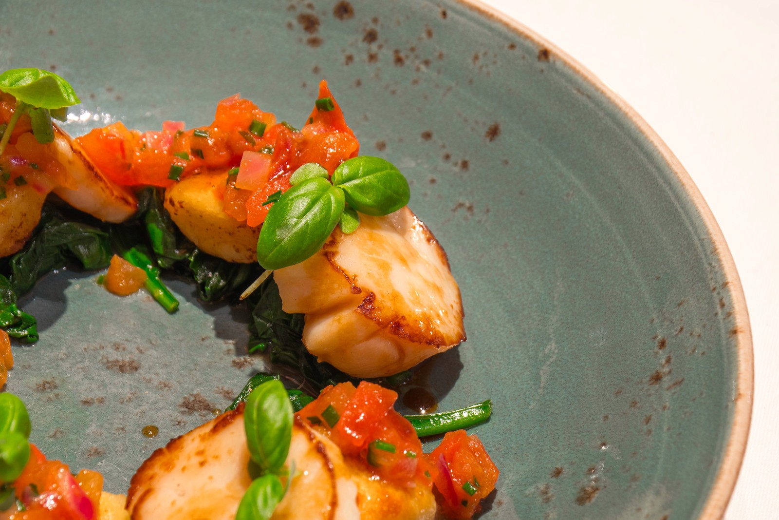 Seared scallops topped with diced tomatoes and fresh basil leaves served on a textured gray ceramic plate.