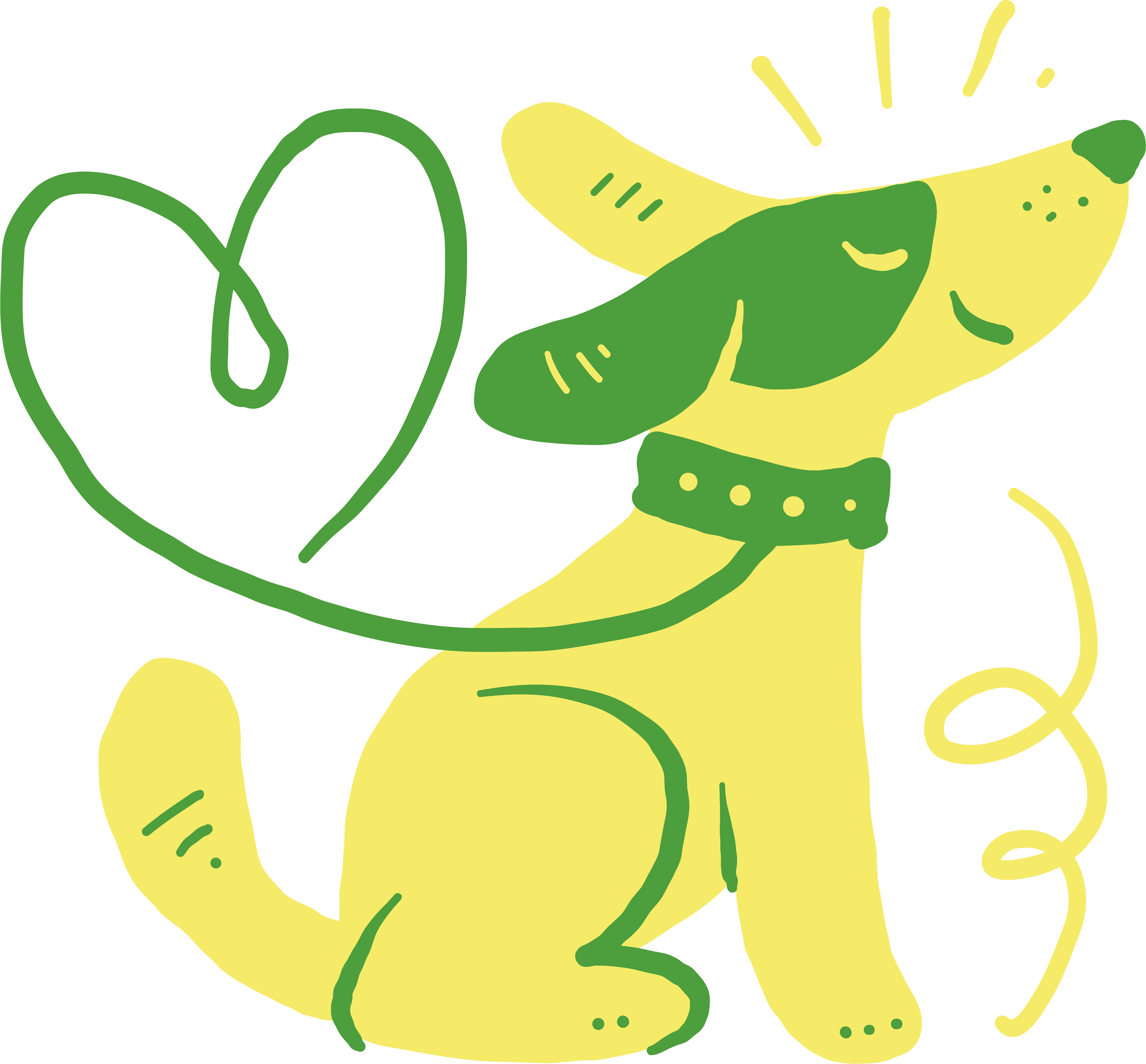 Dog wearing a heart leash