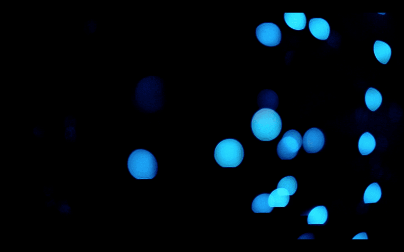 blue light photographs