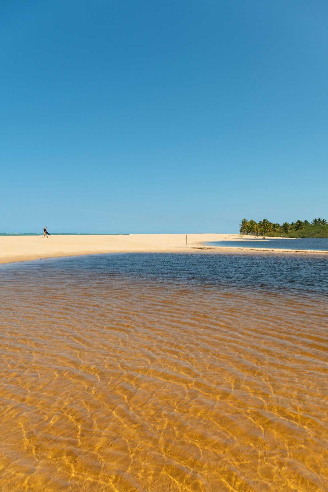 Scenic tropical beach – surfboard rental in Brazil