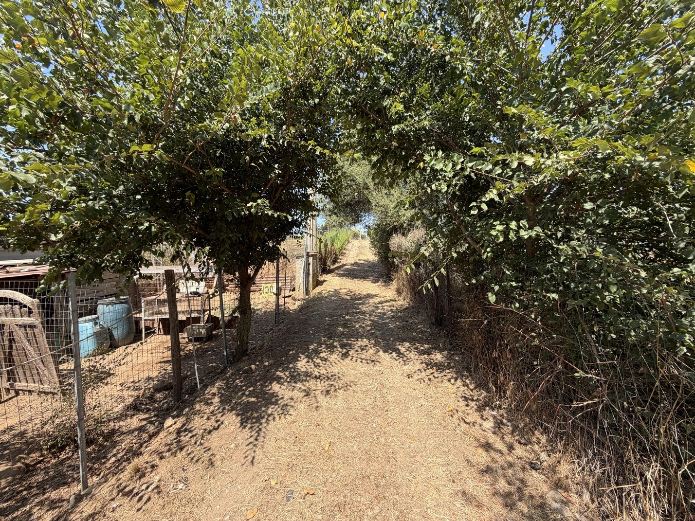 Casale Vista Provenza, Roccatederighi, Maremma Toscana