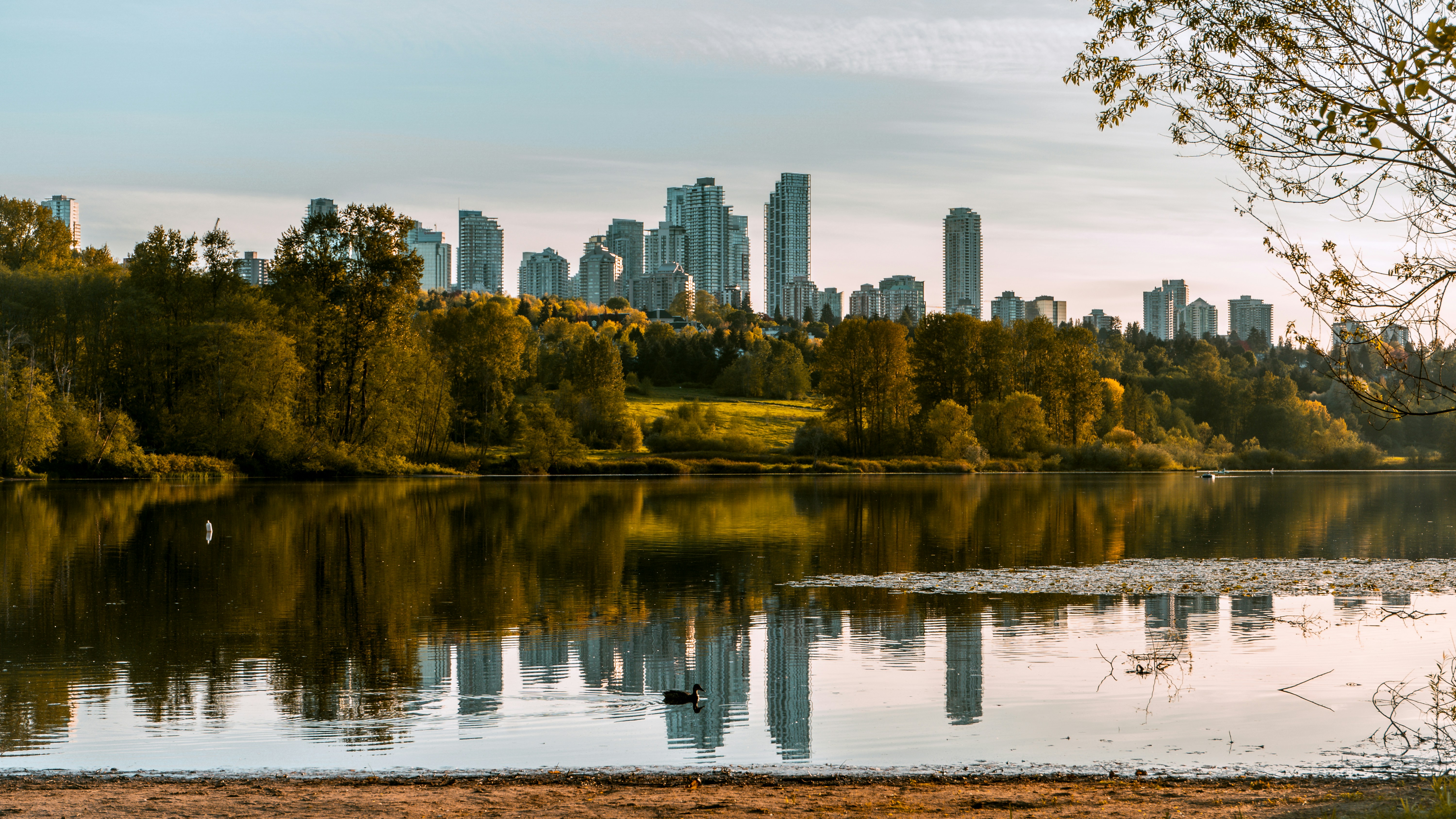 a body of water with a city in the background