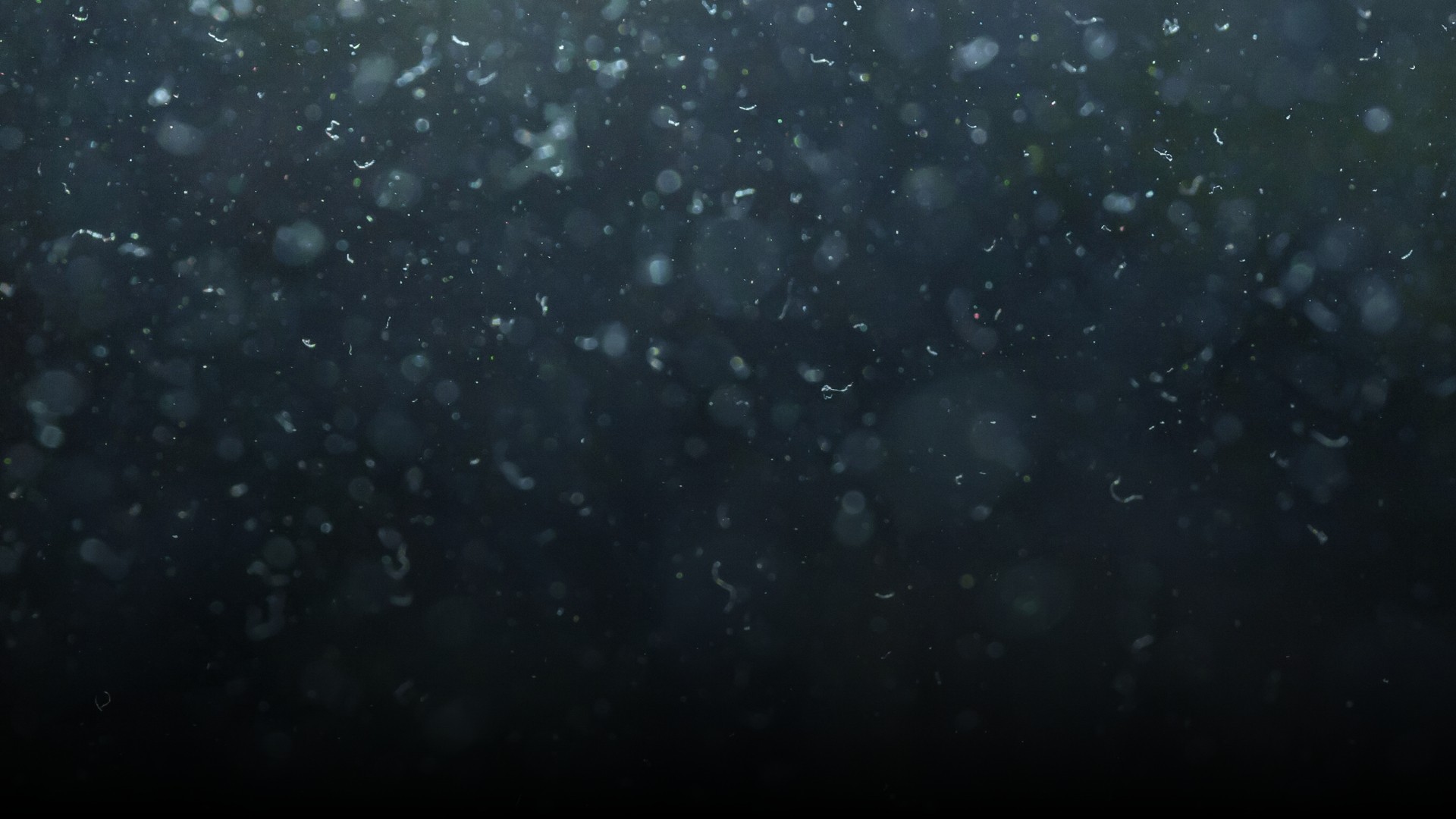 stainless steel cooking pots on stove