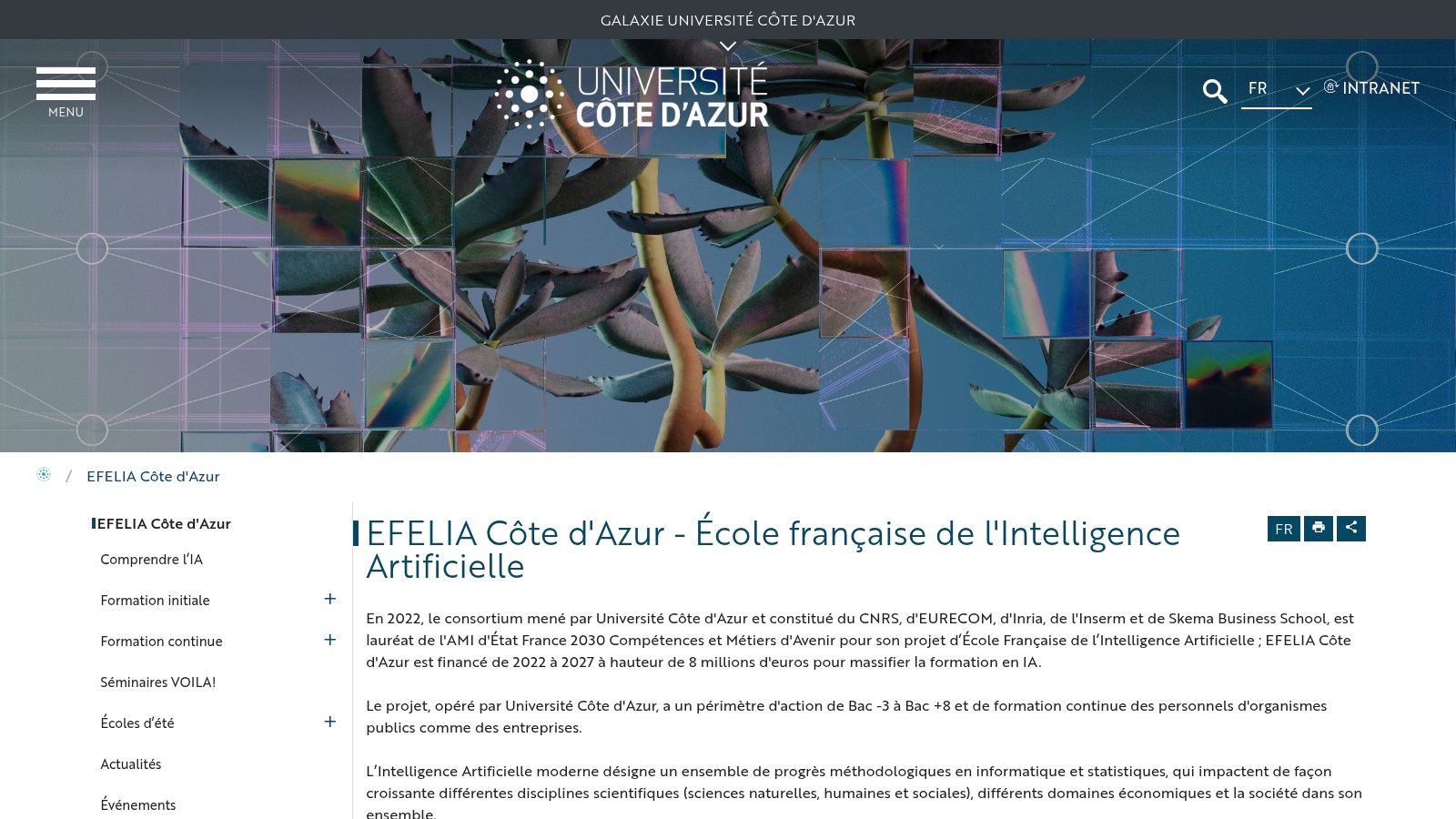 Université Côte d’Azur – EFELIA Côte d’Azur (formation continue IA)