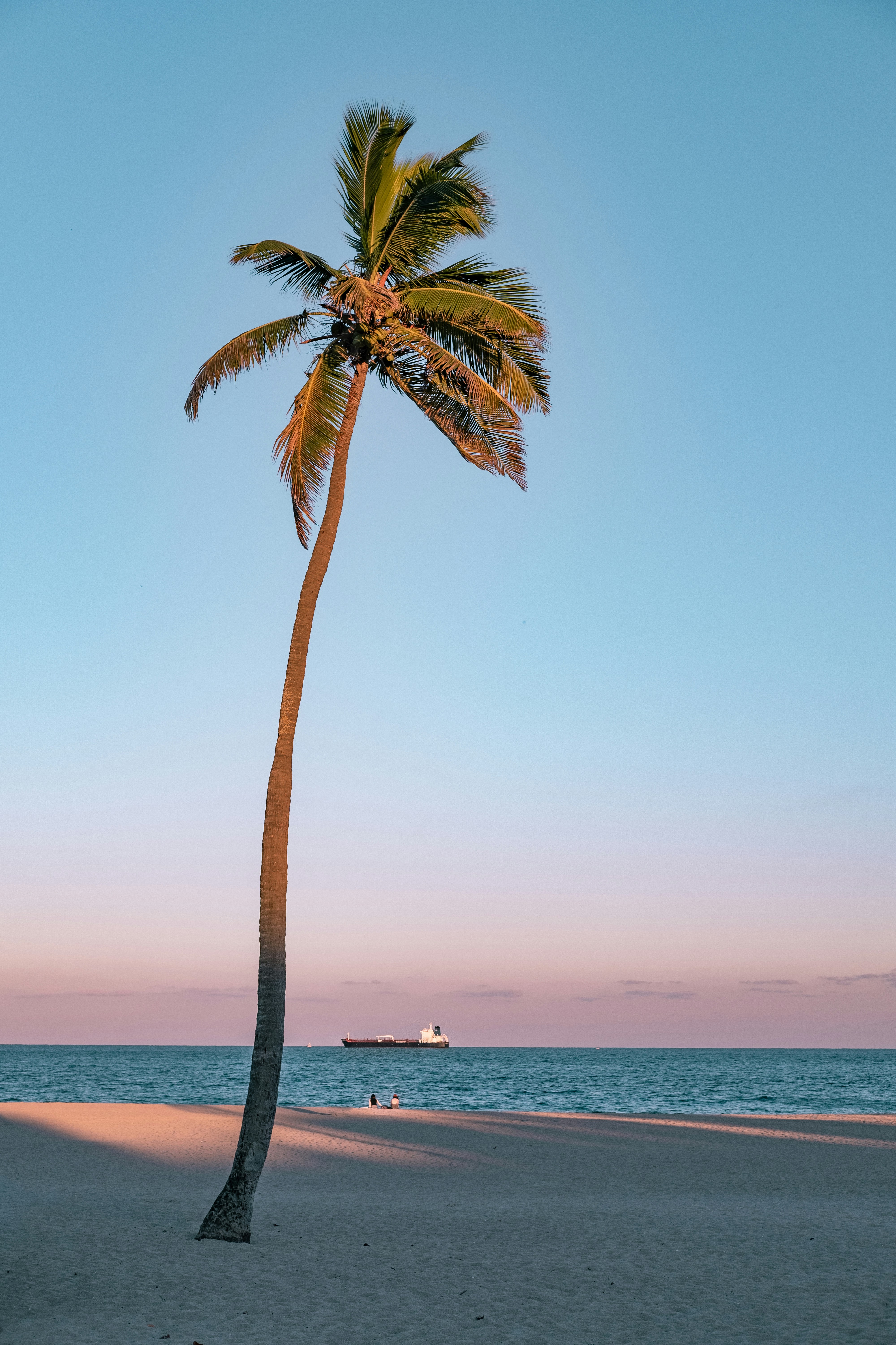 palm tree beach thailand, Women's wellness retreats thailand