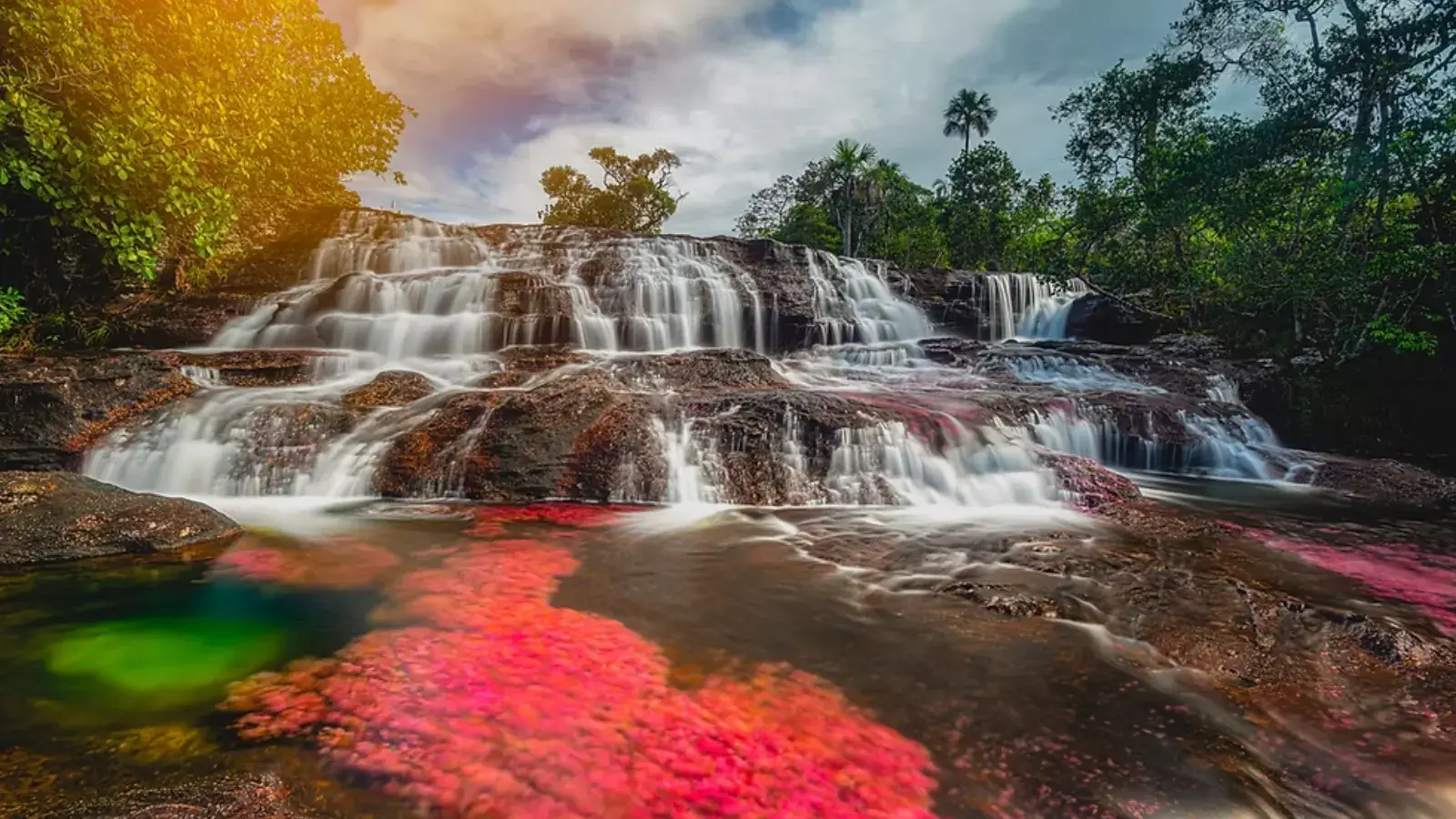 Cano Cristales