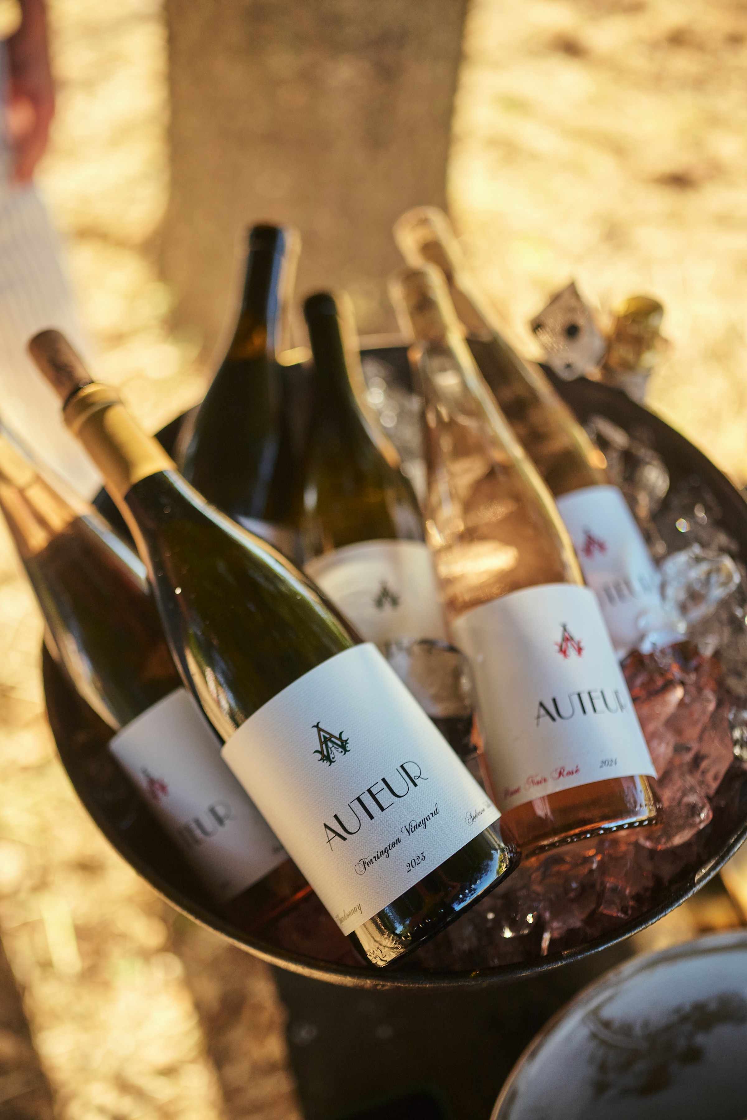 Chef Palmer Auteur Wines Dinner Healdsburg May 28