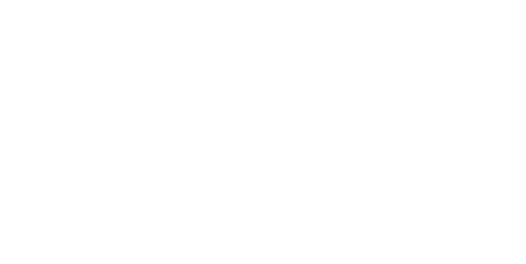 White state outline of Virginia