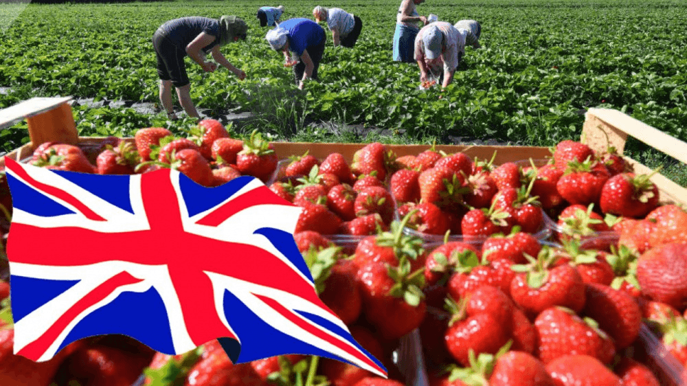 woman in blue tank top standing beside white wall