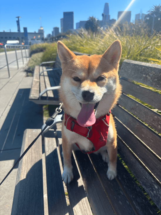 people in a large building with Tate Modern in the background