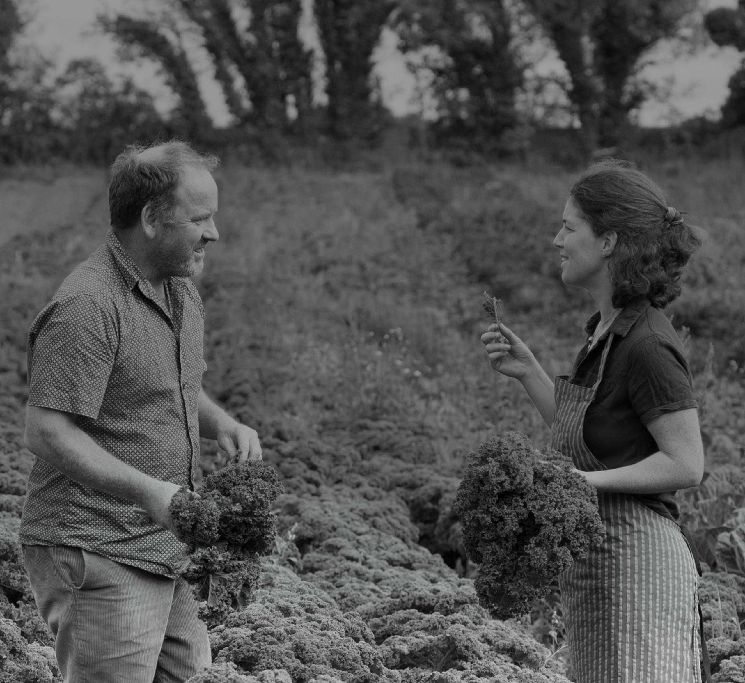 Owners of Beechlawn Organic Farm laughing in the field while supplying their goods to As One Restaurant Dubliln