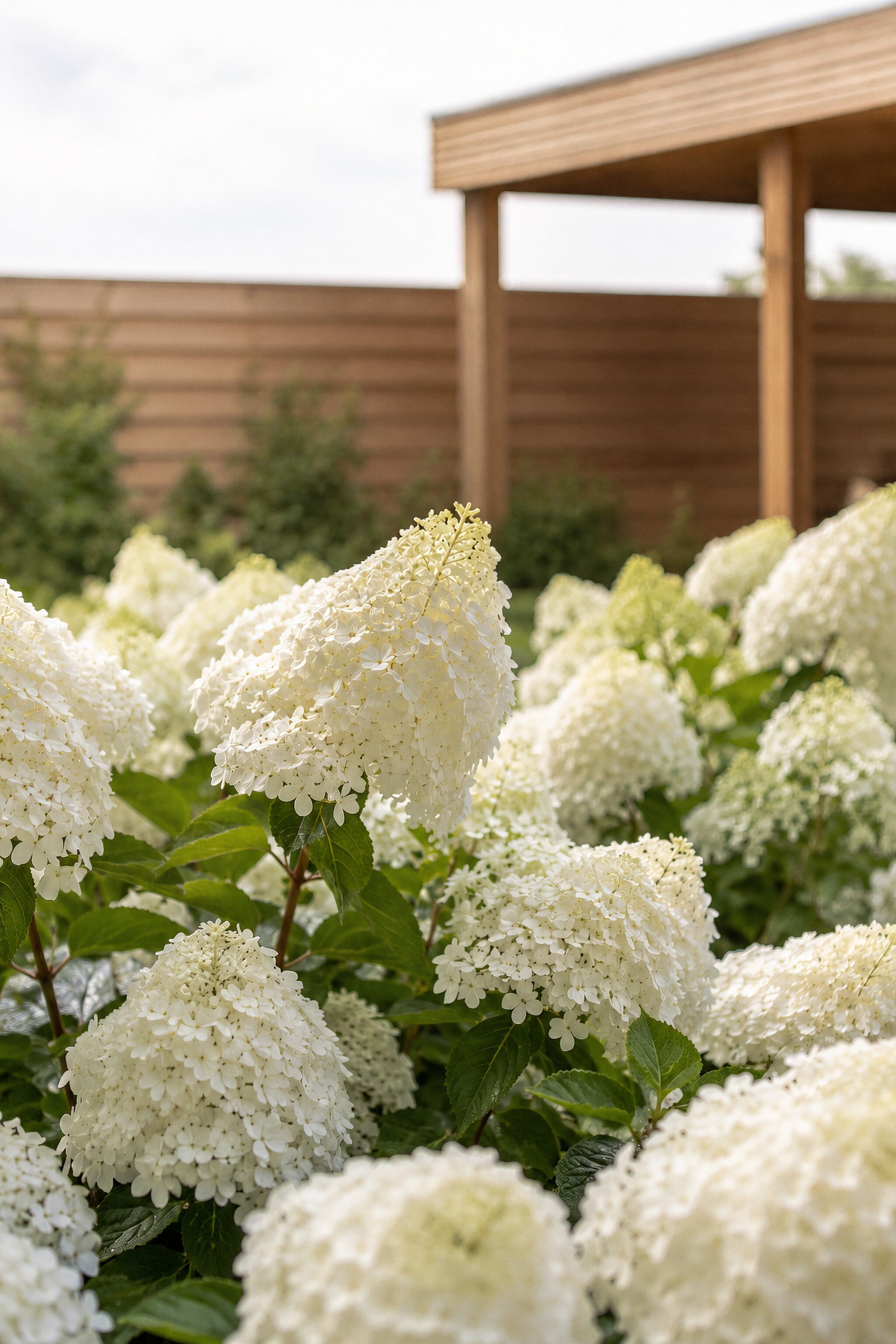 Maatwerk houten schuifdeuren met sierbestrating en witte bloeiende beplanting tegen een bakstenen gevel