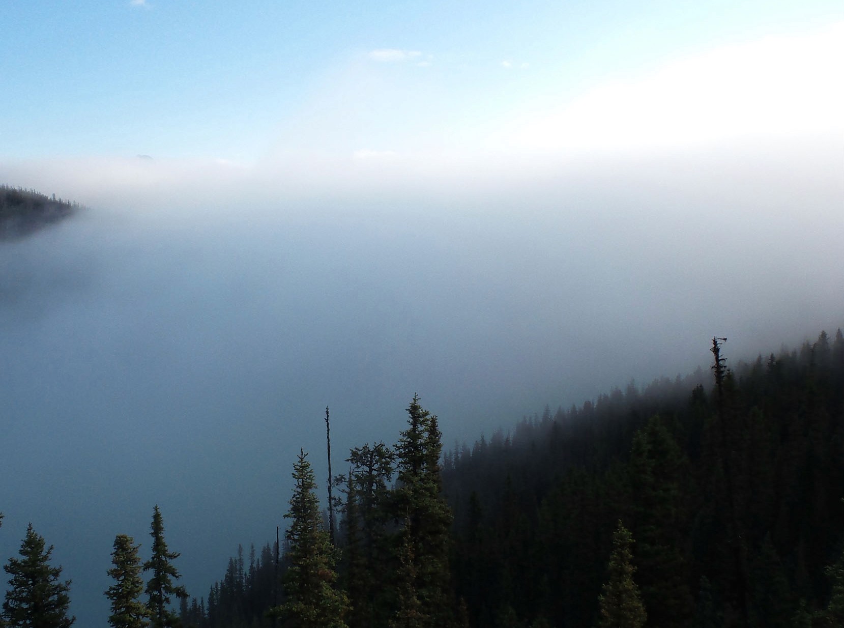 Nicholas Cheveldave artwork