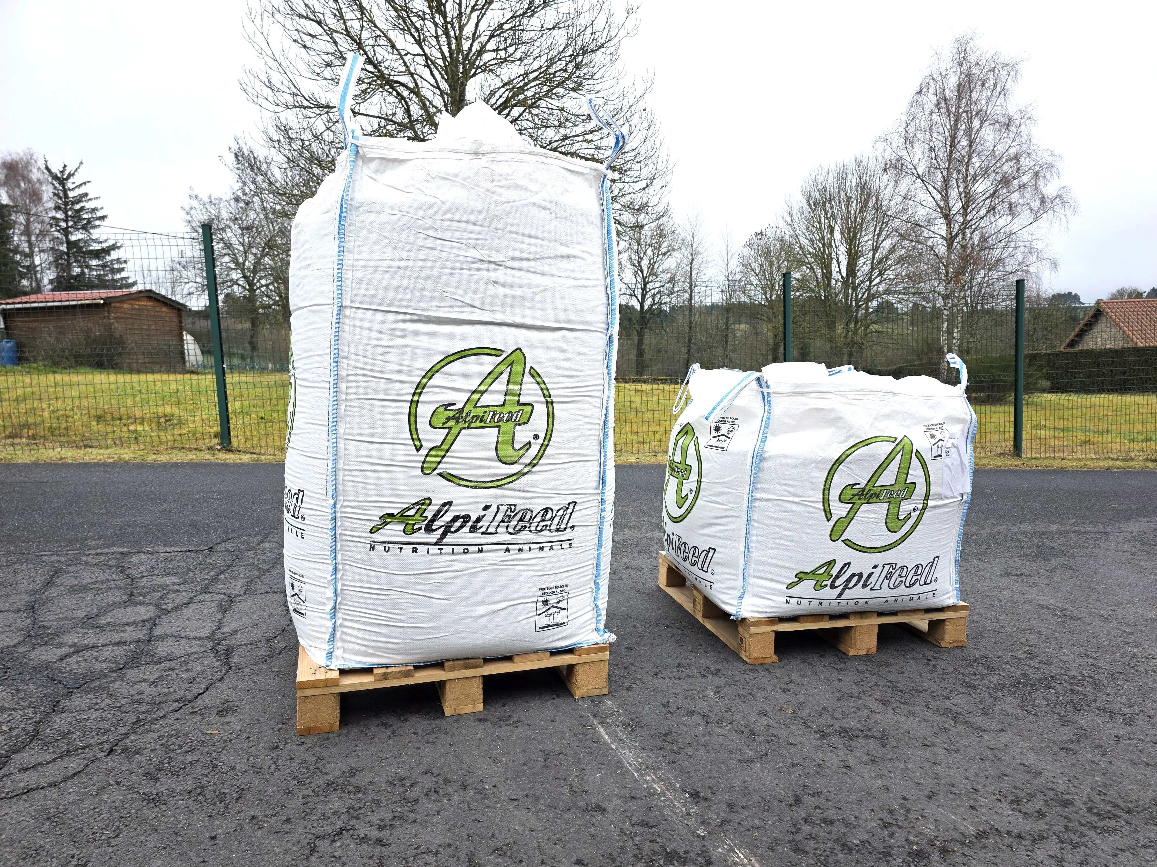 Nutrition animale bovin